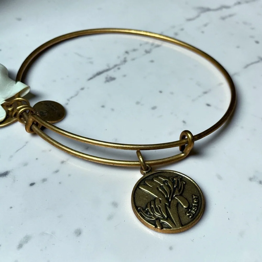Alex and Ani “Because I Love‎ You Sister” Rafaelian Gold Expandable Charm Bangle